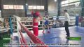 В Ингушетии прошёл турнир по боксу имени Али Измайлова