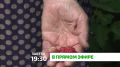 «В прямом эфире». Завтра в 19:30 на телеканале «Магас» мы обсудим важные вопросы, касающиеся бюджета и развития Малгобекского района