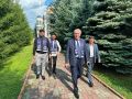 В Магасе проверили состояние зеленых зон