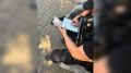 � ������ ������� ��������� �������� � ������������� ���������������� �� ��������� �����