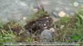 В Ингушетии уже одиннадцатые сутки продолжаются поиски пропавшего на реке Асса