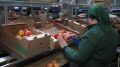 По приглашению сенатора Российской Федерации Белана Хамчиева Ингушетию посетила делегация выпускников программы EMBA-13 Бизнес-школы РСПП и членов их семей