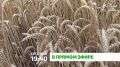 "В прямом эфире". За последние годы сельскохозяйственная отрасль стала одним из драйверов роста экономики Ингушетии