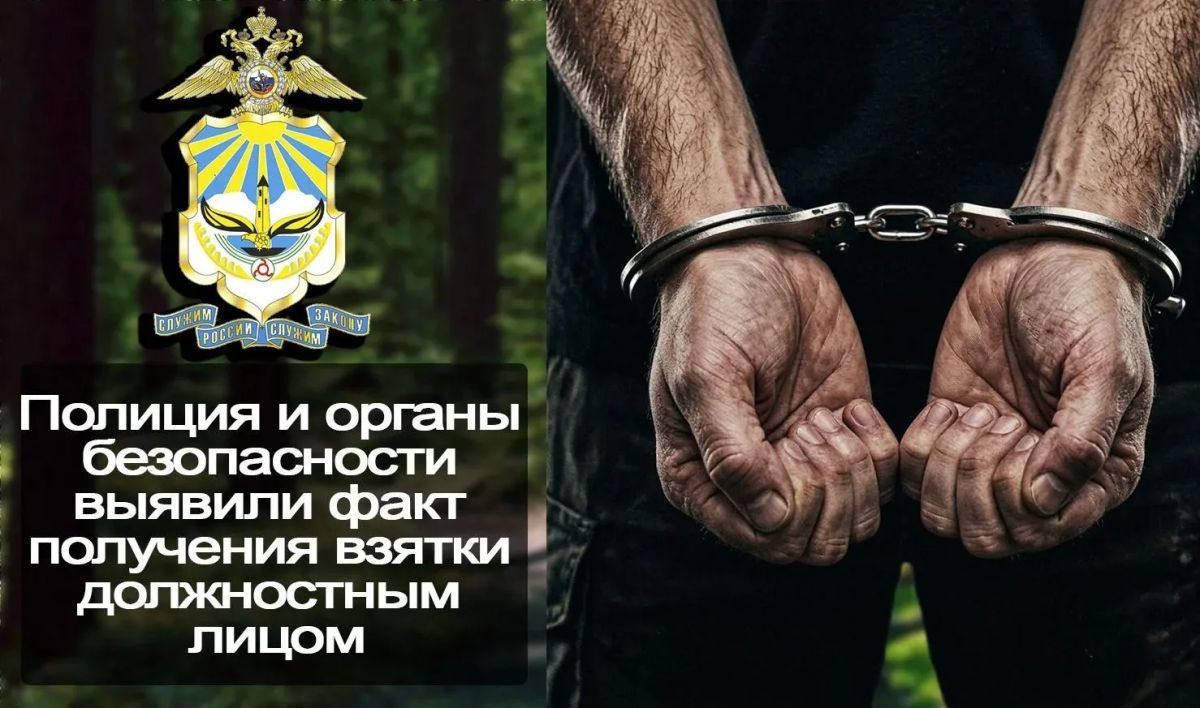 Полиция и органы безопасности выявили факт получения взятки должностным лицом