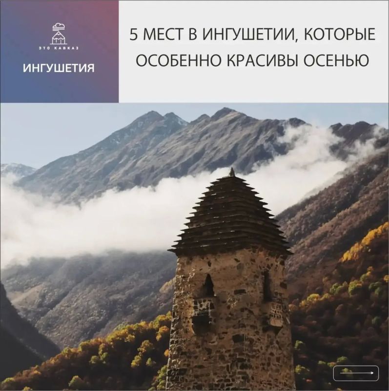 Чистый воздух, величественные башни, облака, поднимающиеся из ущелий, и тысячи оттенков золотого… Осень в горах — это именно то, ради чего стоит поехать в Ингушетию в октябре и даже в ноябре