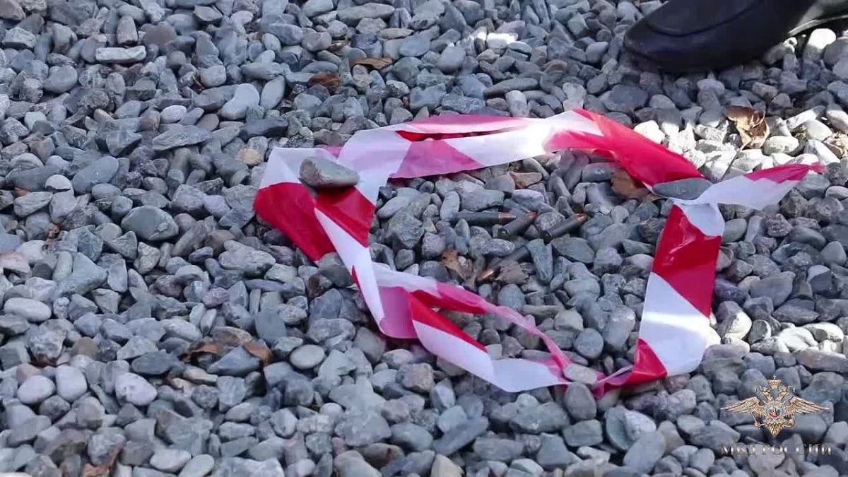 Ирина Волк: В Республике Ингушетия полицейские задержали местного жителя