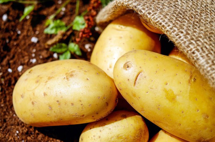 Какие продукты можно есть и не толстеть