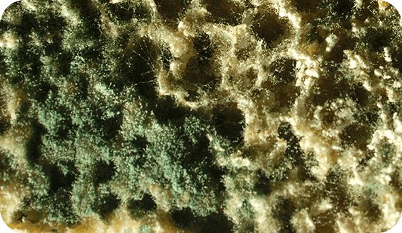 Как сохранить безупречный вид фасада: секреты очистки и защиты от загрязнений