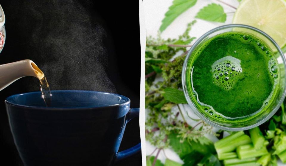 10 напитков, которые подарят мозгу вторую молодость