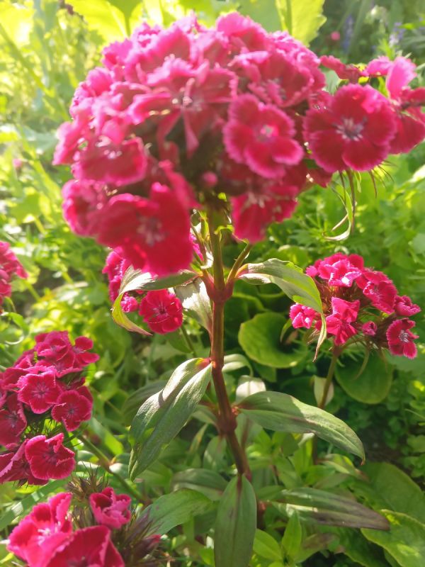 ��� ������� � �������� ��������� �����, � �� ������� ��������