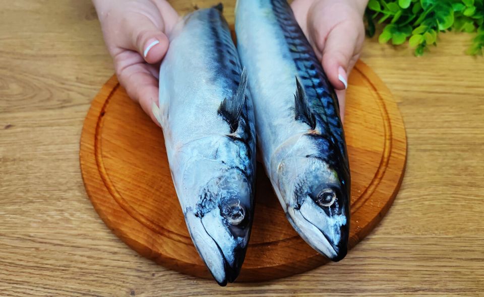 ���� � �����: ������ ������ ������� ������������ ����