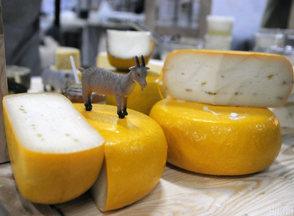 Секреты хранения сыра: как сохранить свежесть и вкус вашего любимого продукта