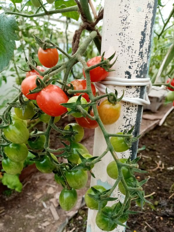 �������� �����������: ����� ������� ������ ����������� � 2025 ����?