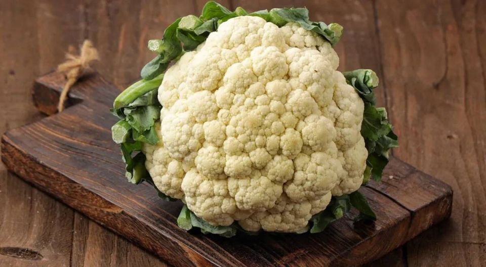 ������� �����: ������������ ������� ��������, ������� ����� �����������