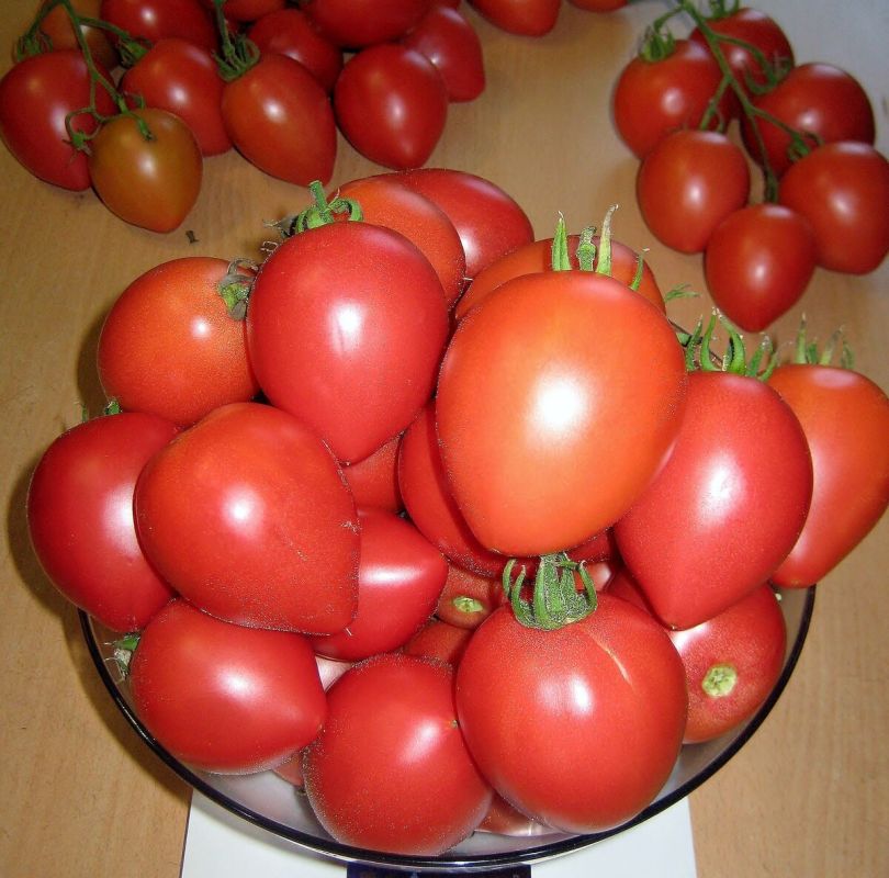 ��������� ������ 