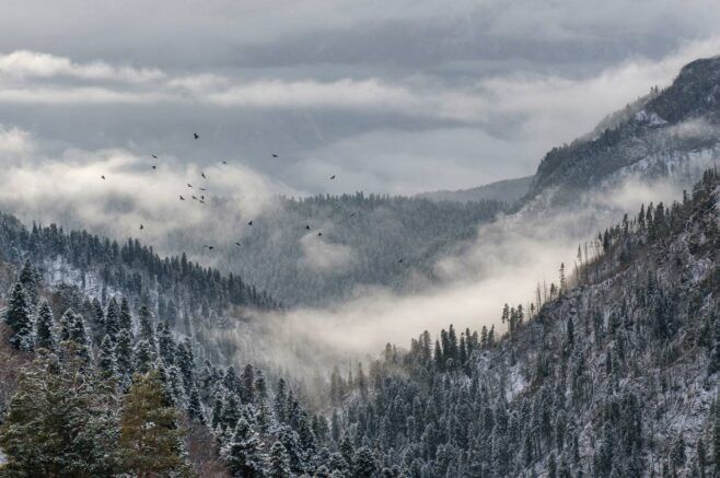 ����������� ��� �������: ����� ������������� ��������� ������ � ��������� ����������