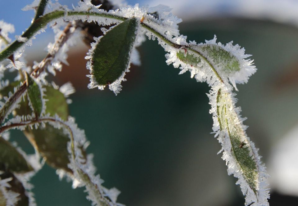 ��� �� ������������ � �������: ������������� � ��������������� ��������