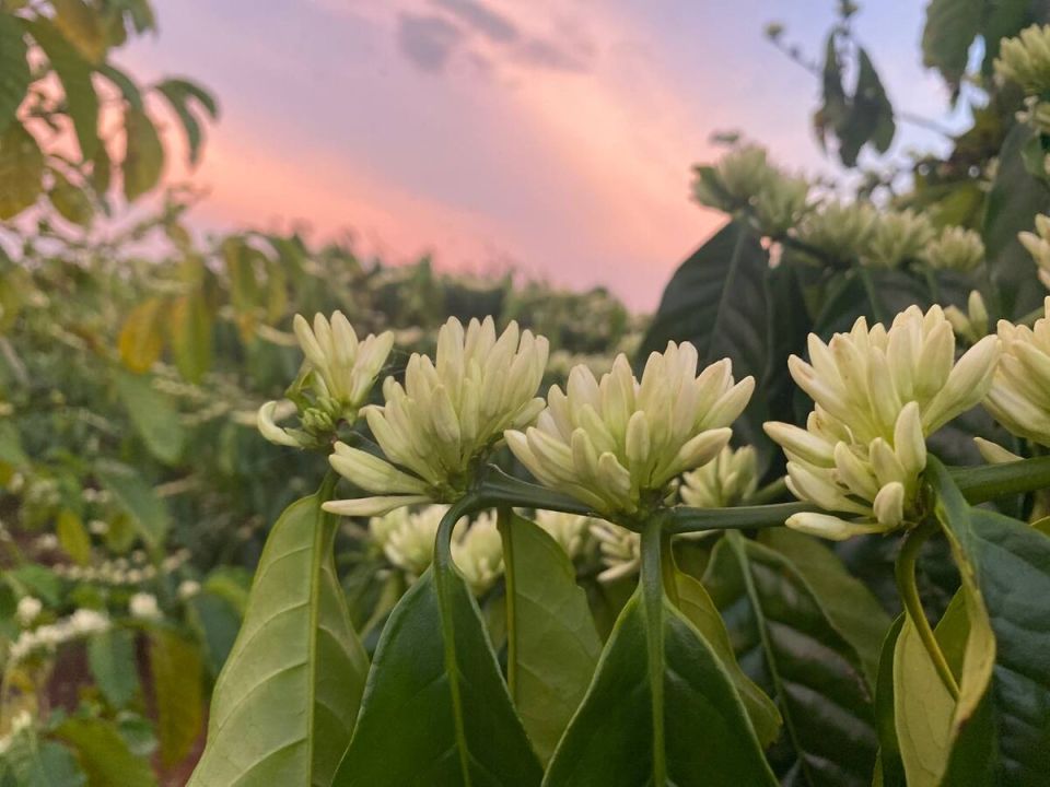 �������� ���������: ��� ������� ���� ����� �������