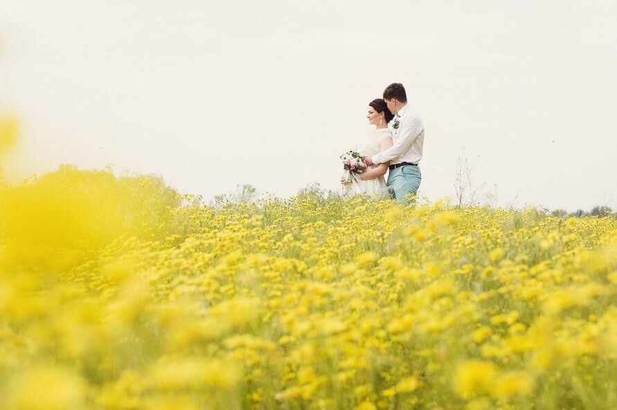 ����������: ���� � ����������� �����������