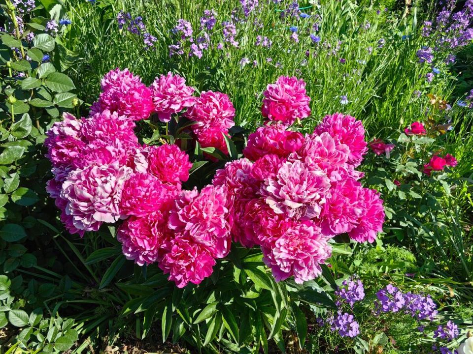 ����� � ������ ��������: ��� ����������� �� � ������ ������