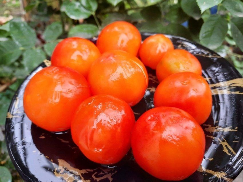 ��� ��������� ����� ��������� �����: ������� ������ � ������