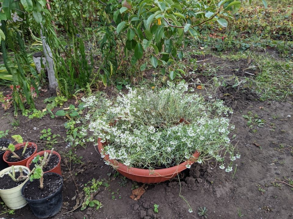 ��� ���� �������� ���������� ���� � ��������� ����