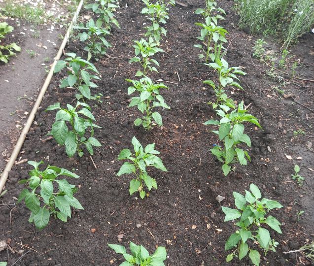 ����� �� ������? ��������� �� ��������� �������� ���� ������� ������� �����������