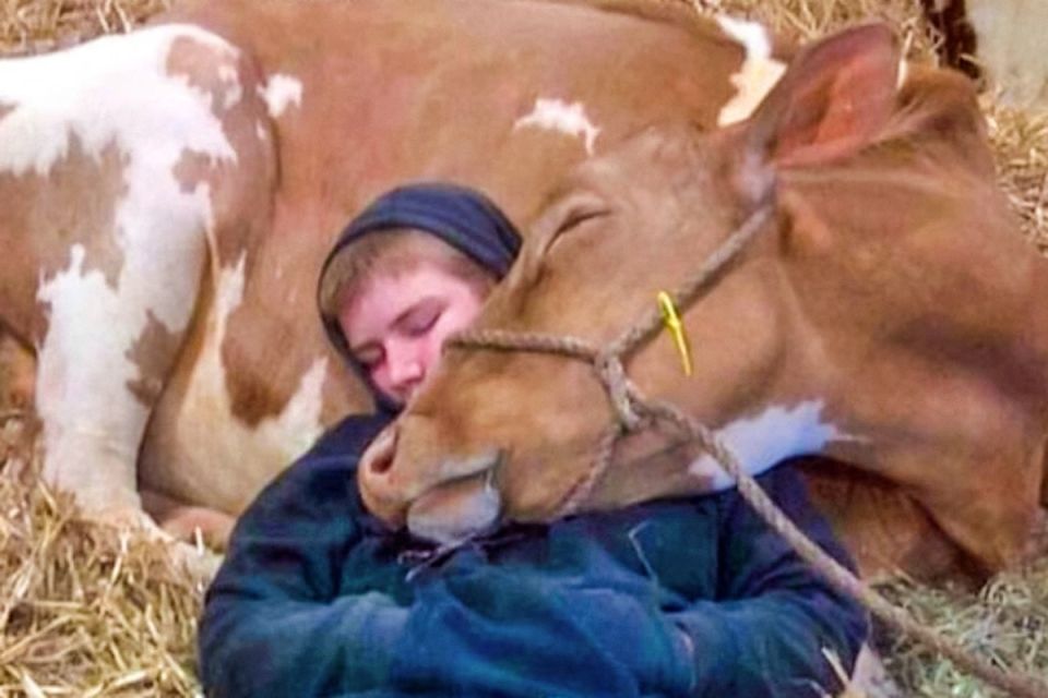 ����������, ��������� ������ � ������������ �������