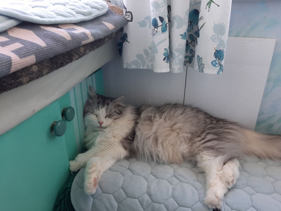 Жара, быт и мелочи, которые помогают пережить день