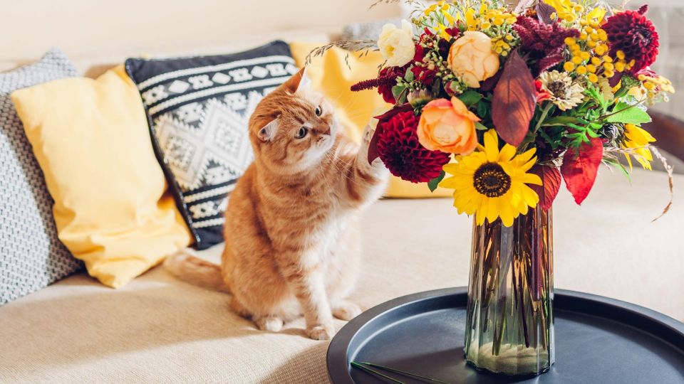 ���� ���������� ��������� �������� �����������: ����������� ������