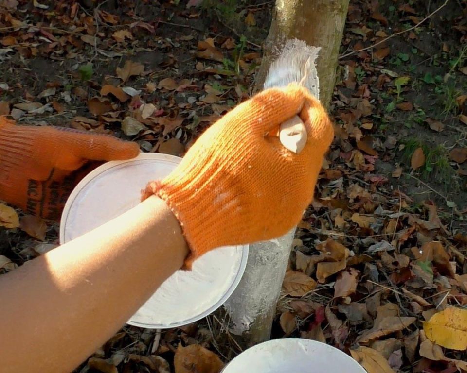 ������ ���� ������� �������� � ����� ��� ��� �����