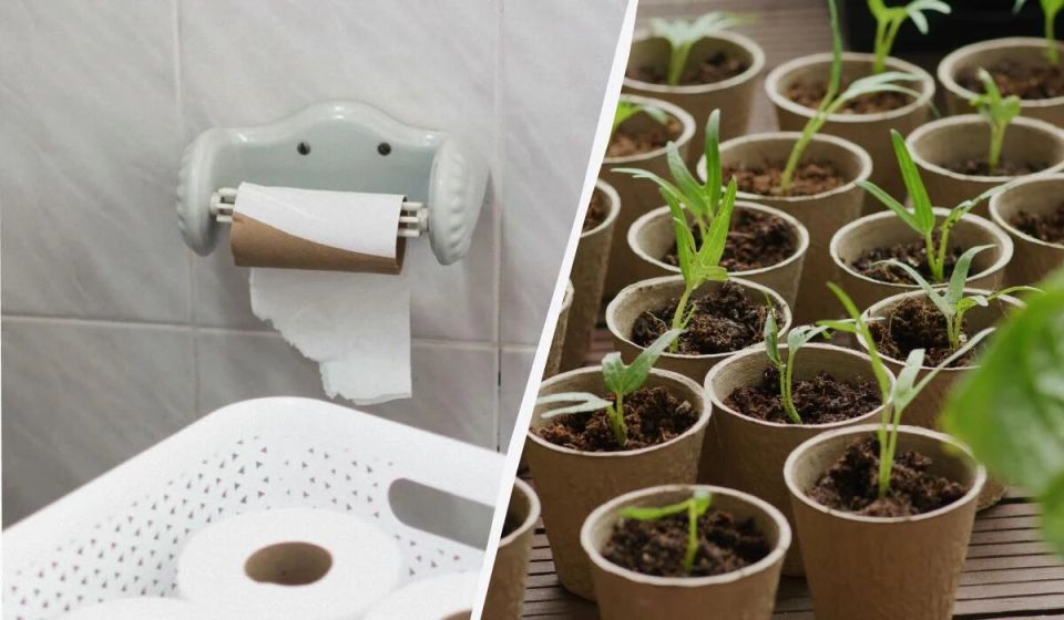 ����������� ������� ��� �������: ����� ������ ���������