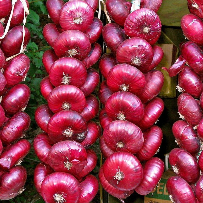 ��� ��������� ��� � ��������: ����������� ������ � �������� ������