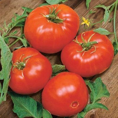 ����� ������: ������������� ������ ��� ������ �������