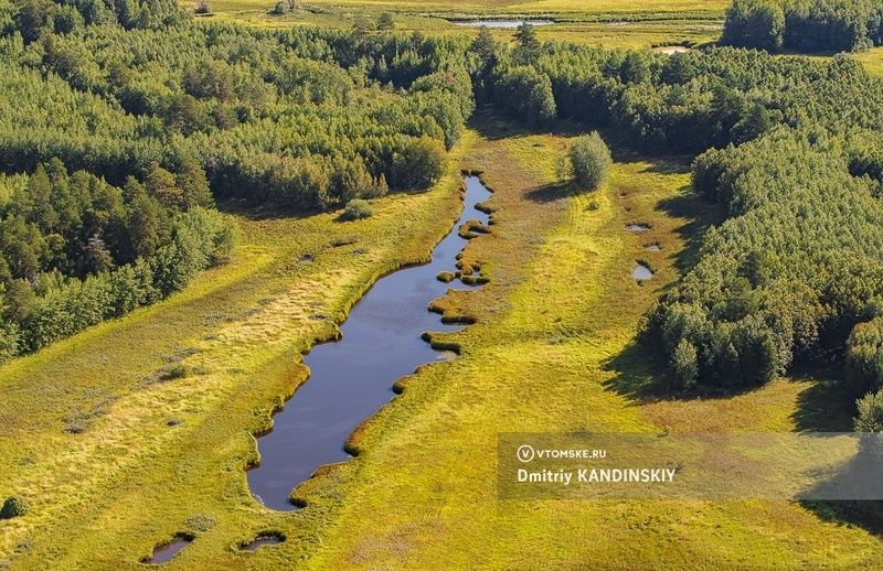 Изменение границ заповедников: новый законопроект Минприроды вызывает споры