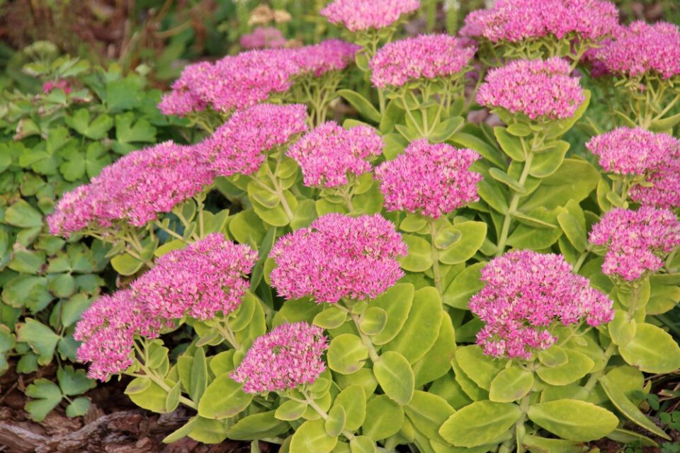 ��� �������� ��� ��� ������? 14 ������������ ������ ������� �������