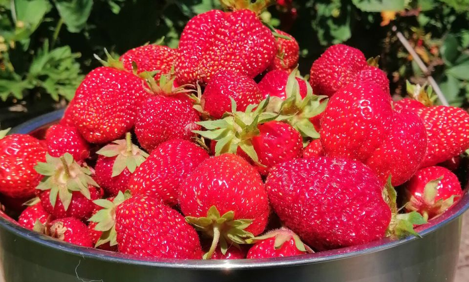 ������ �������� ������� ������ ����: ������� ��������� �������� � ������� ������