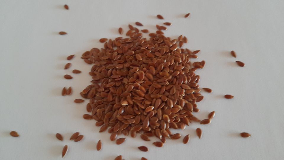 ������� ����: ��������� ��������� ������ �������