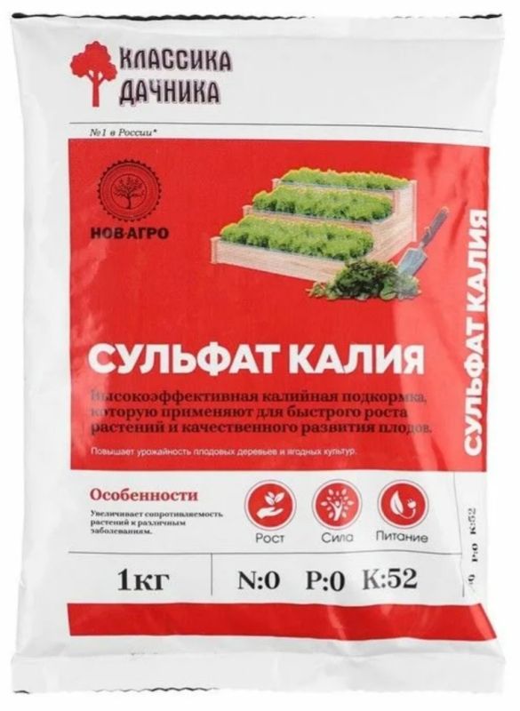 ������� �����: ������ ������ ������ ������