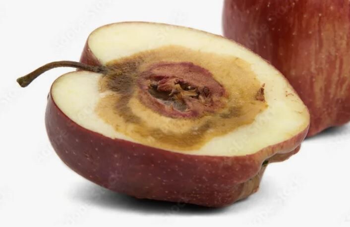 ������ ����� �������: ���������� ������� � ������� ������