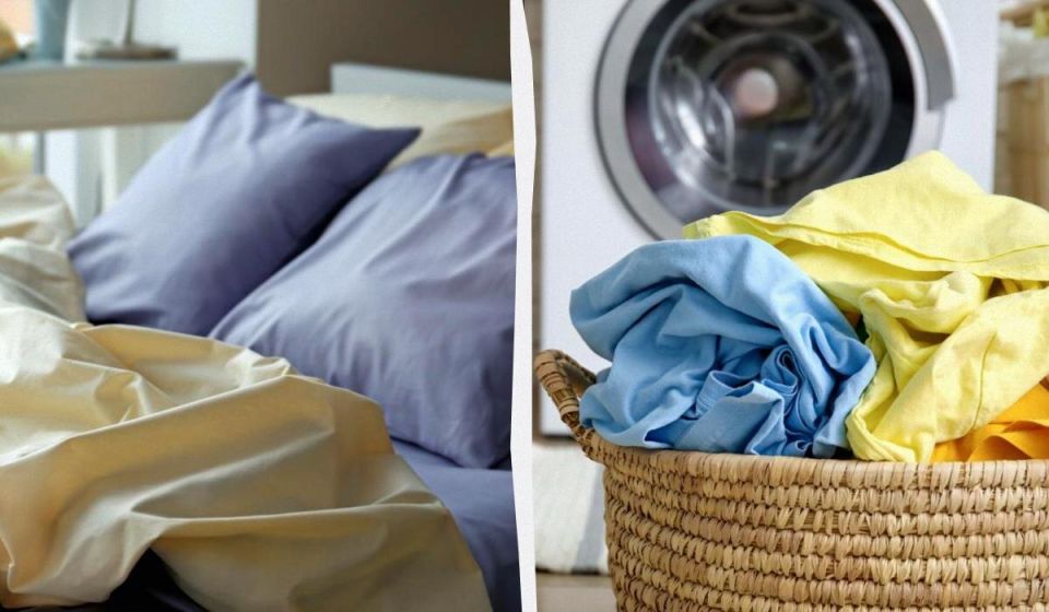 ��� ����� ������� ���������� ����� ������: ������ ���������