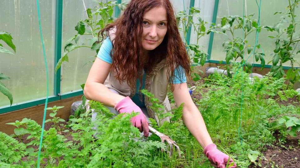 ��� ������� ������ ������� ����� ������ ���������� ����� �� �������� �������