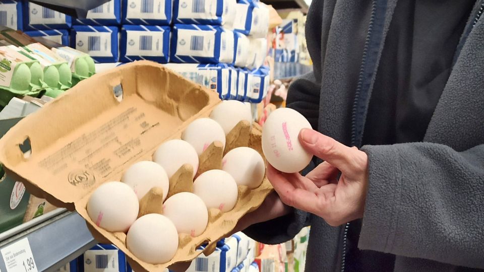 ����� ����� �� ������: � ���������� �������� ������ ����� ����