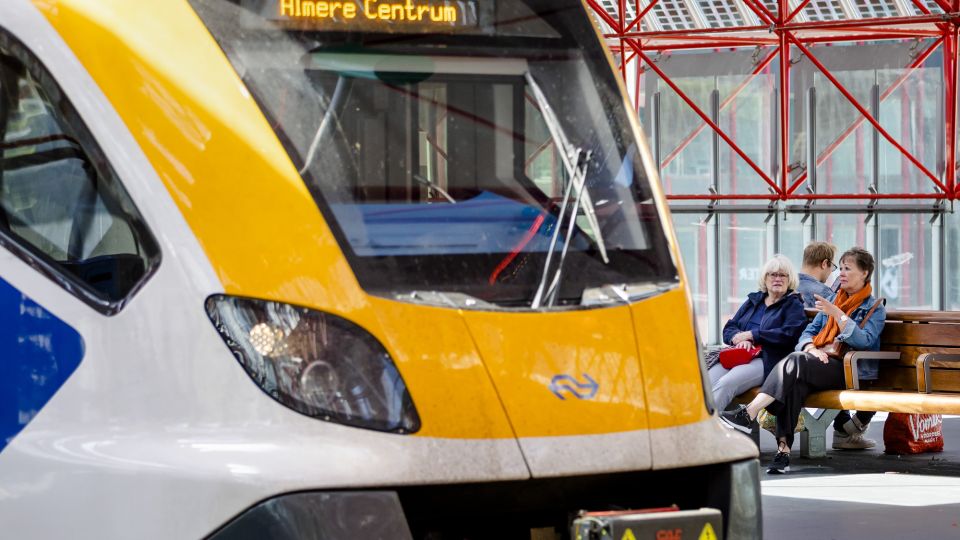 ������ ����� �������: ����� ���� ���� ��������� ����� �� ���� ����� ���������