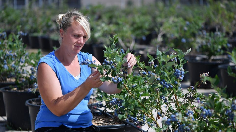 �������� ����� ���� �� ������: ��� ��� ����� ������� ����� �� �������