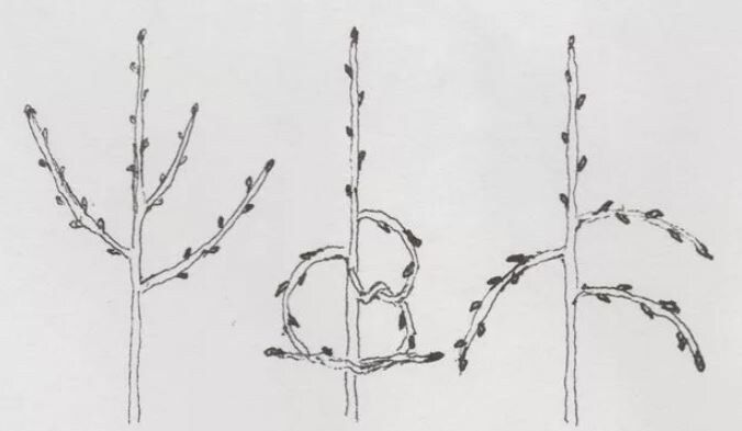 ������������ ������� � ������: �����, ������� �������� ������������ � �������� �����