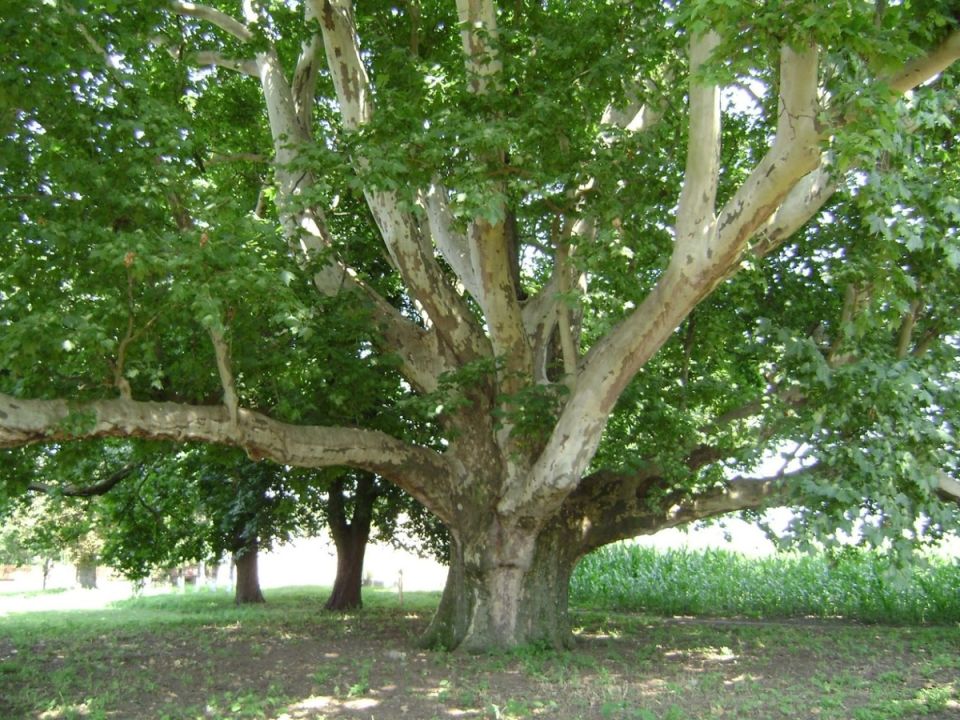 ������: ������������ ������, ���������� ����� ���������� � ����������� ����� ��������