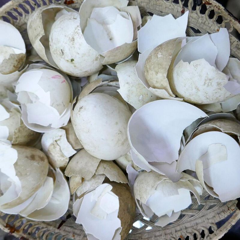 ������� ��������� ������ ��������: ��� ����� ����� ���������