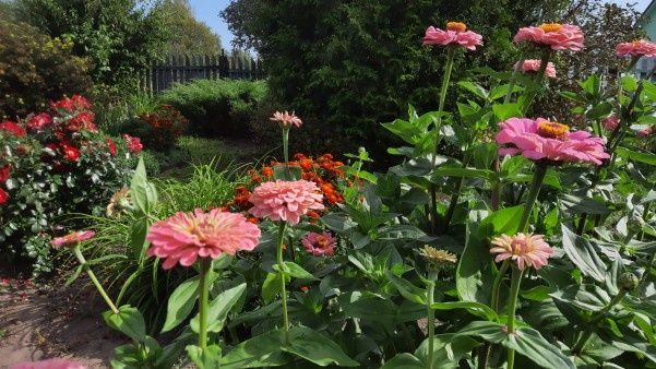 ��������� ������: ��� ������� ��� � ���������� ���� � ������