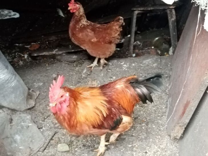 ��� ���������� � ������� ������ ������������ �� ��������� �����������